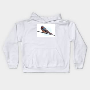 A Swallow Kids Hoodie